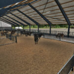 Deep-Bedded Cowshed4