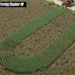 Dunăreni X4 - Row Crop System44