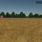 Field Rename3