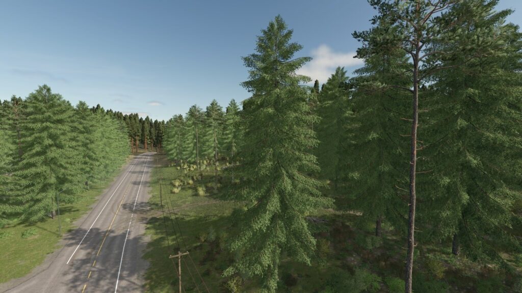 Forester3