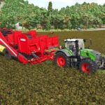 Grimme Evo 2902