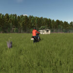 Homestead