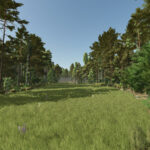 Homestead4