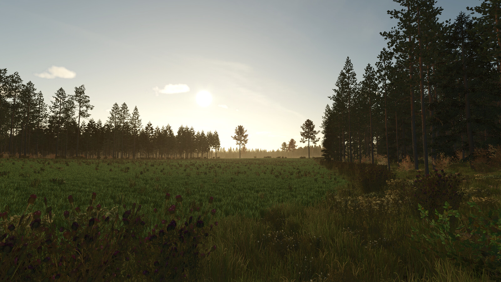 Kivi Küla V1.0.0.2