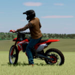 LIZARD CRF 450R2