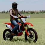 LIZARD CRF 450R3