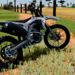 LIZARD CRF 450R4