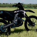 LIZARD CRF 450R5