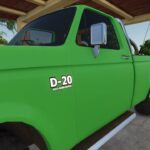 Lizard D-20 PAREDÃO5
