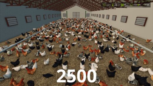 More visual animals
