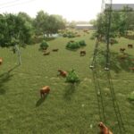 More visual animals2