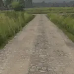 Mud and cobblestone Roads V1.04