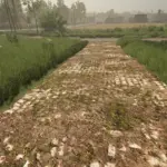 Mud and cobblestone Roads V1.05