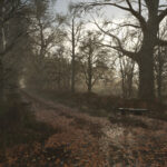 Placeable Weather Effects