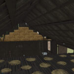 Polish Old Barn4