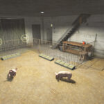 Polish Pigsty3