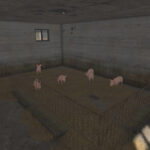 Polish Pigsty6