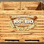 Realistic Food Pack3