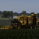 Realistic Shader2