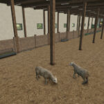 Sheep And Goat Barn Big11