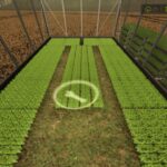 Small Greenhouses3