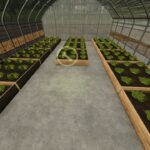 Small Greenhouses4