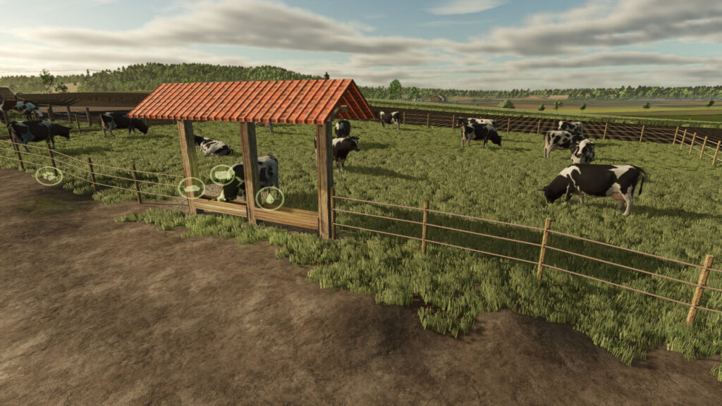 Small Pasture For Cows And Horses
