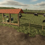 Small Pasture For Cows And Horses
