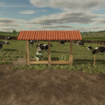 Small Pasture For Cows And Horses2