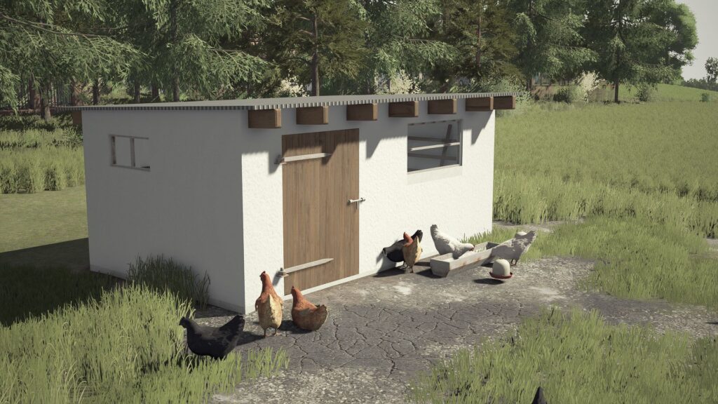 Small Renovated Chicken Coop3