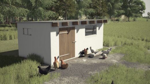 Small Renovated Chicken Coop3