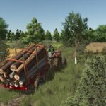Small log transport trailer