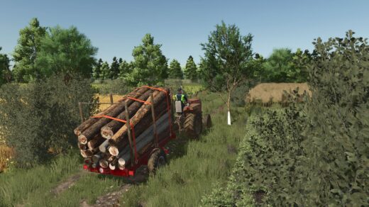 Small log transport trailer