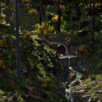 The Haut Doubs Forest4