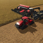 True AI Tracks: NEXAT V1.0