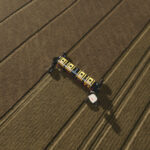 True AI Tracks: NEXAT V1.0