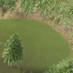 Unlimited Tree Placement
