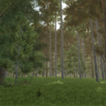 Unlimited Tree Placement3