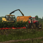 VGM LK226
