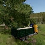 VOLVO FH16 MULTICUSTOM TRUCK5