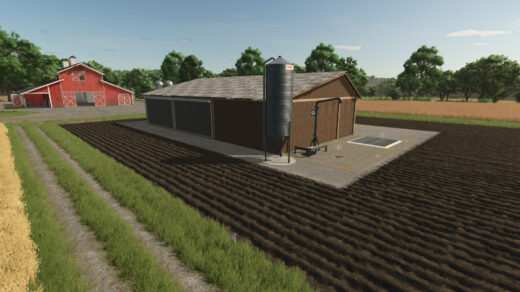 Wood Sawmill