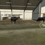 cowbarn2