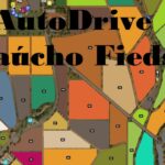 AutoDrive Campos Gaúchos