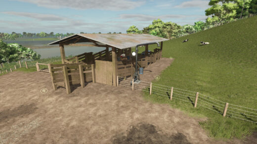 Brazilian Cow Pen With Loader