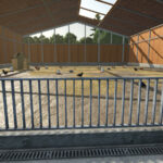 Chicken Coop XXL3