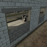 Cowshed With Hall6