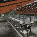 Dairy Production Farm4