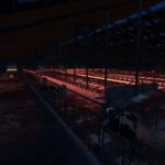 Dairy Production Farm5