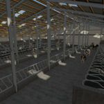 Eight Bay Double Cow Shed2