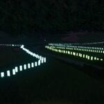 Farmland Border Display5